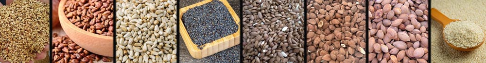 seed oil